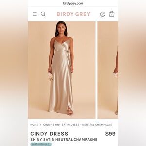 Birdy Grey champagne Cindy dress